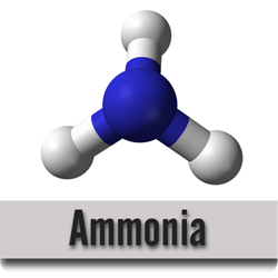 Ammonia molecule